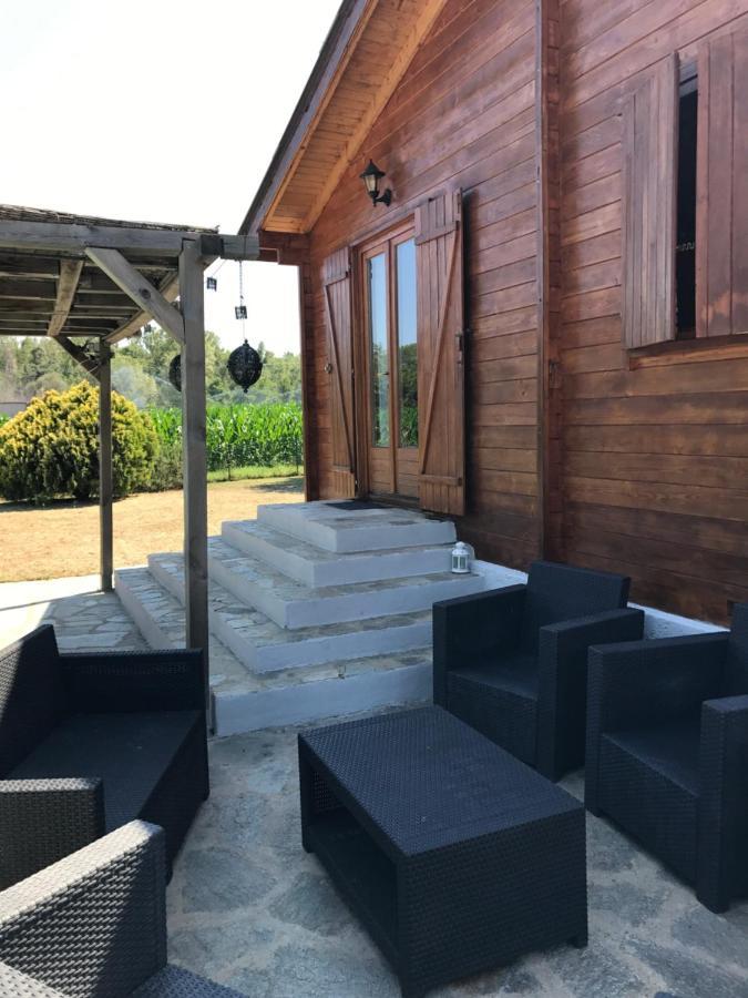 Lucciana Chalet Avec Piscine Chalet Lucciana (Corsica)